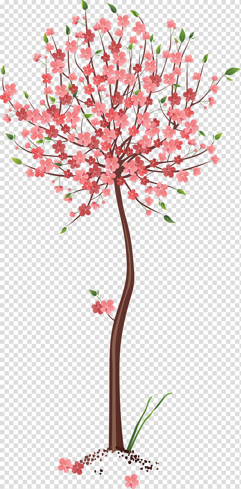 Portable Network Graphics Tree Drawing, transparent background PNG clipart