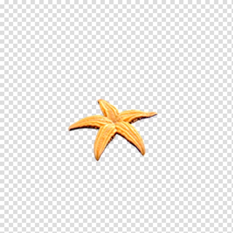 Starfish Pattern, starfish transparent background PNG clipart