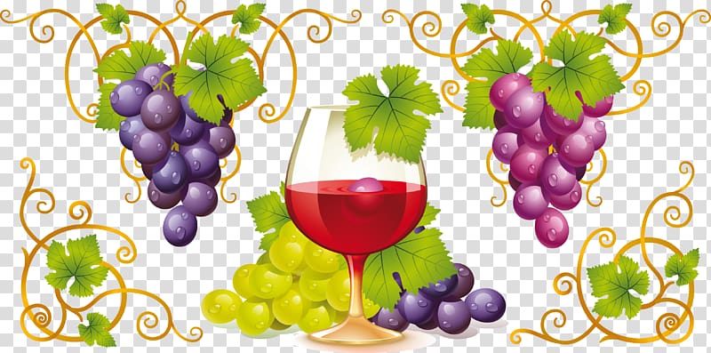 Red Wine Common Grape Vine White wine , Grapes transparent background PNG clipart