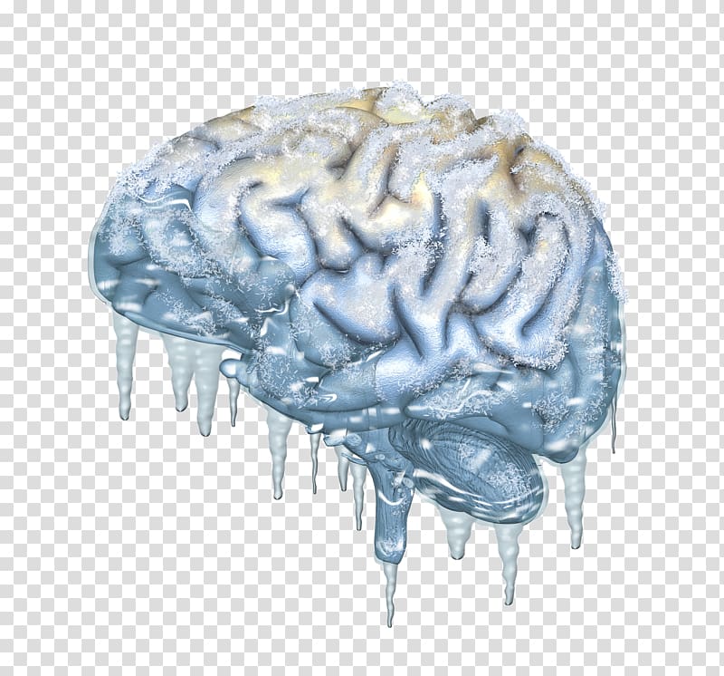 Cold-stimulus headache Brain Cryonics , icicles transparent background PNG clipart