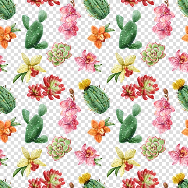 pink and green petaled flowers, Succulent plant Cactaceae Green Color, hand painted watercolor plants transparent background PNG clipart