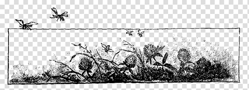 Mammal Line art Drawing Grasses Cartoon, botanical border transparent background PNG clipart