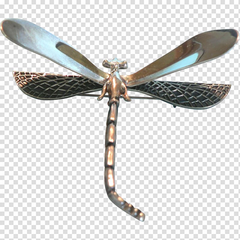 Insect Invertebrate Membrane, dragonfly transparent background PNG clipart