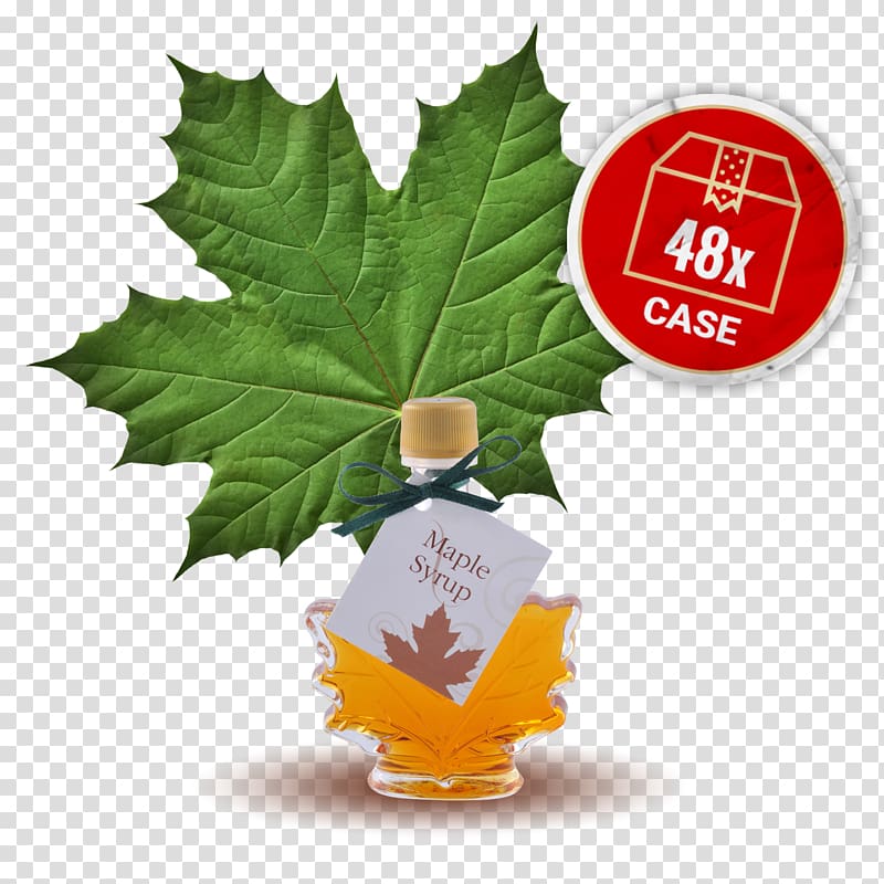 Maple syrup Maple leaf Leaf vegetable, maple leaf transparent background PNG clipart