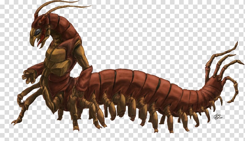 Centipedes Millipede Desmoxytes purpurosea The Human Centipede Drawing, others transparent background PNG clipart
