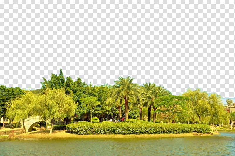 Xiamen Designer Google s, Xiamen island scenery transparent background PNG clipart