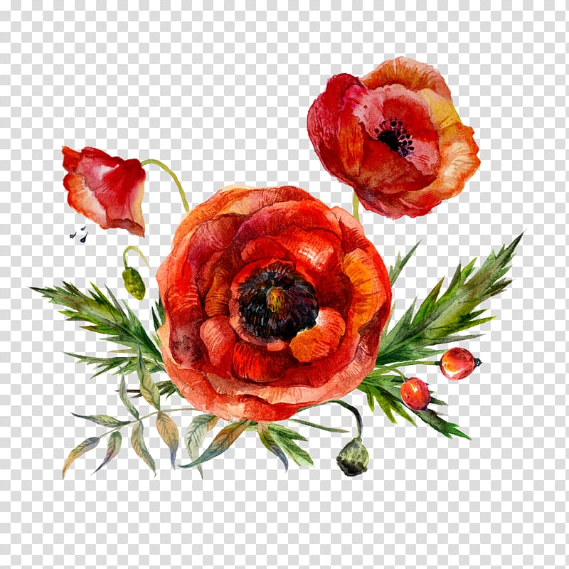 red and green poppies illustration, Watercolor painting Flower Poppy, Watercolor flowers transparent background PNG clipart
