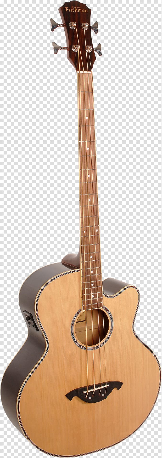 Epiphone Rivoli Acoustic bass guitar Acoustic guitar, Bass Guitar transparent background PNG clipart