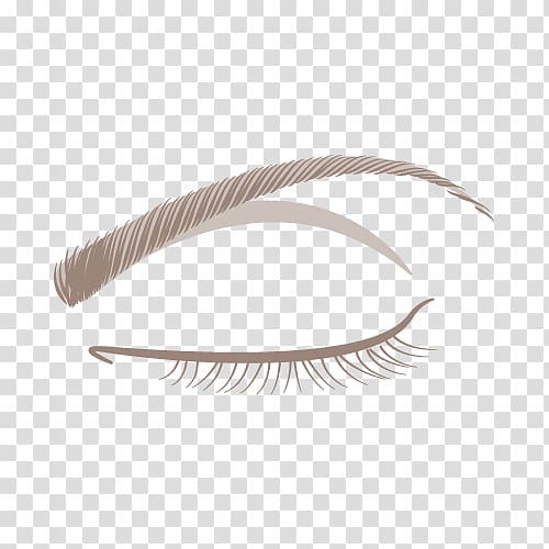 Eyebrow Eyelash Feather, eyelash transparent background PNG clipart