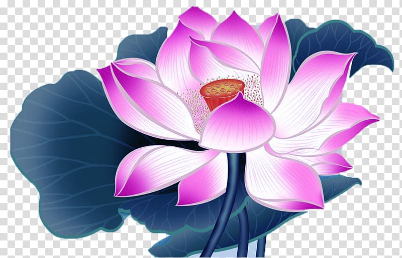 China Nelumbo nucifera Cartoon Falun Gong, Lotus cartoon material transparent background PNG clipart
