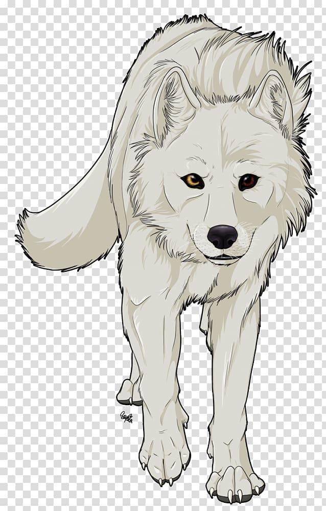 Gray wolf Cartoon Drawing Jackal, Cartoon wolf transparent background PNG clipart