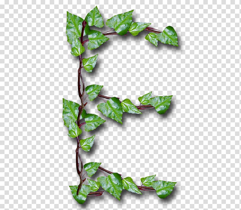 Letter Common ivy YouTube Leaf Alphabet Inc., youtube transparent background PNG clipart