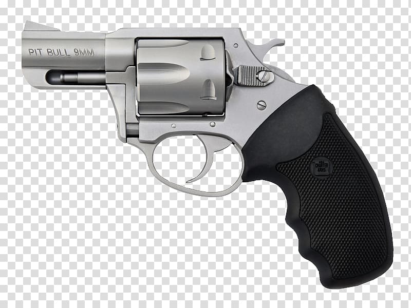 .357 Magnum Charter Arms Firearm Revolver Cartuccia magnum, weapon transparent background PNG clipart