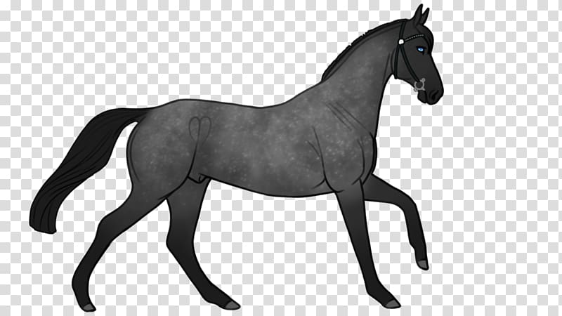 Mustang Foal Pony Rein Stallion, mud horse transparent background PNG clipart