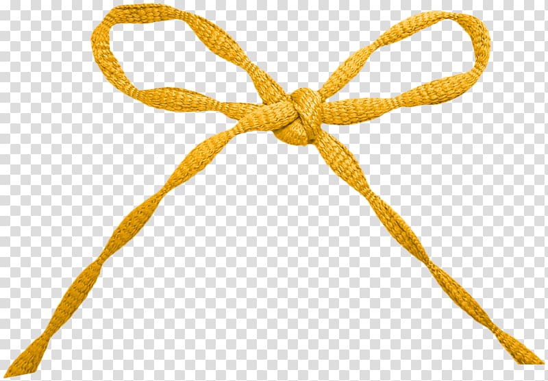 Beautiful bows from orange ribbon on transparent background PNG