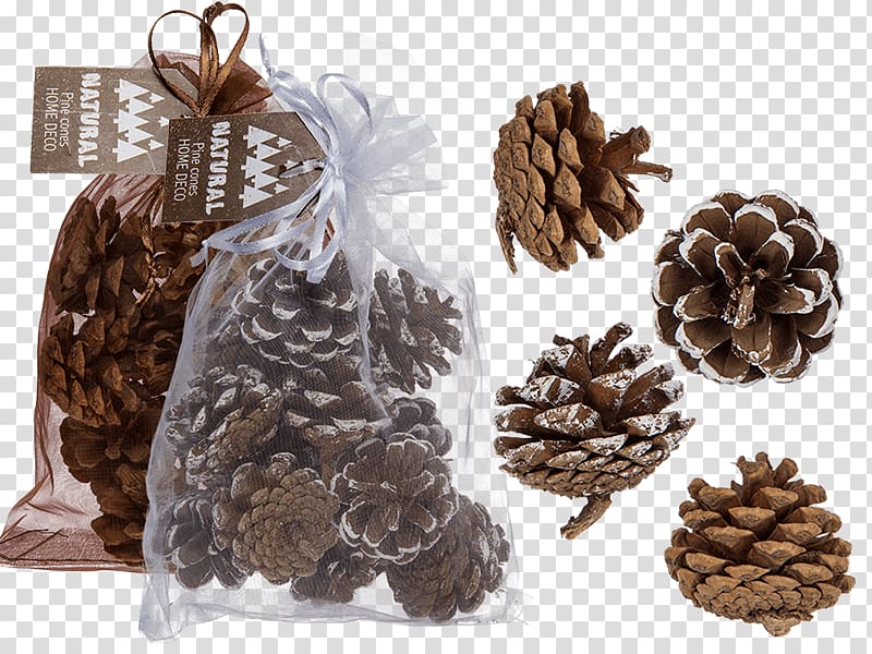 Pine Conifer cone Christmas Day Gift Spruce, gift transparent background PNG clipart