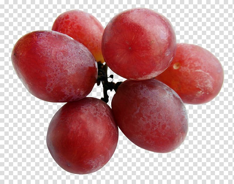 Red Wine Malbec Grape, Grapes transparent background PNG clipart
