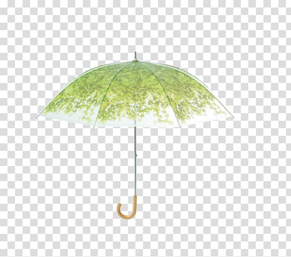 Umbrella Transparency and translucency Sunlight Green Shade, Light green umbrella transparent background PNG clipart