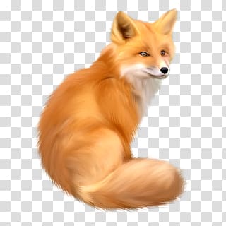 Fox transparent background PNG clipart