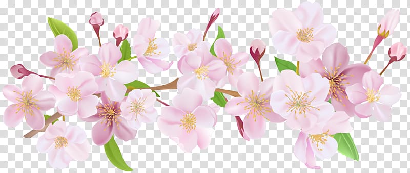 Paper , Cherry Blossom Spring Branch , white and pink flowers transparent background PNG clipart