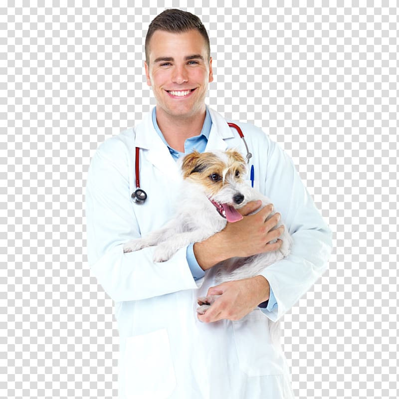 smiling man carrying puppy, Dog Veterinarian Surgery Physician Pet, the pet doctor holds the dog transparent background PNG clipart