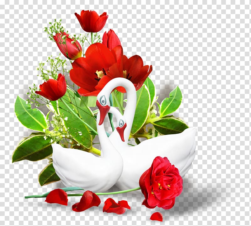 Flower , real flower transparent background PNG clipart