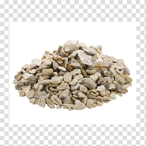 Sunflower seed Nut Organic food Roasting, leaf specimen transparent background PNG clipart