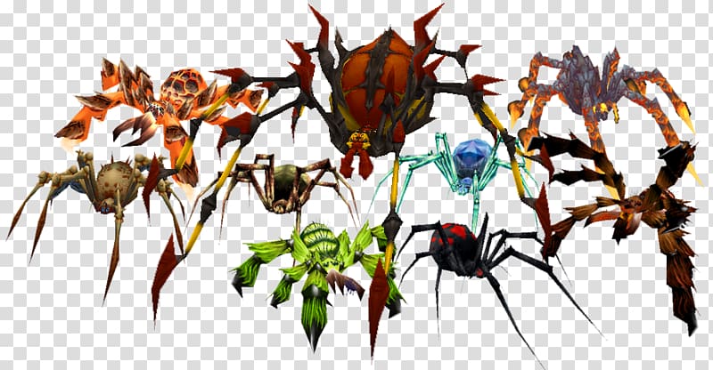 Phase spider World of Warcraft: Cataclysm Wowpedia, spider transparent background PNG clipart