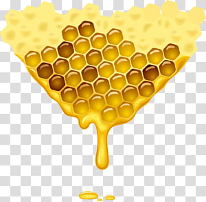 Honey , Honey bee Honey bee, Honey logo transparent background PNG