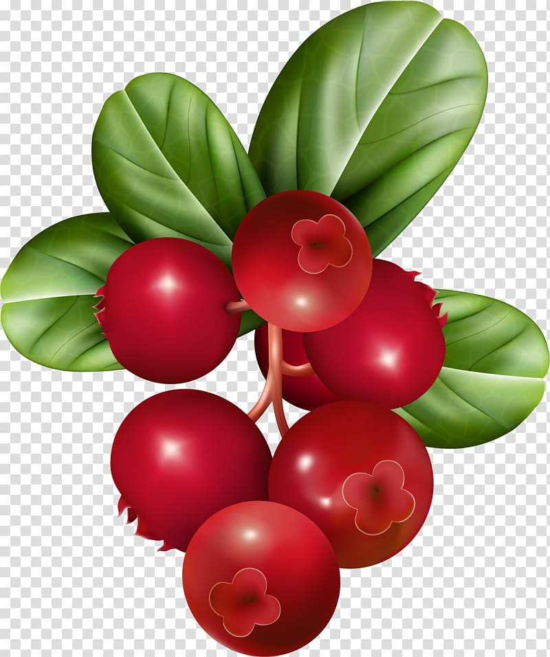 Raspberry Fruit , cranberry transparent background PNG clipart