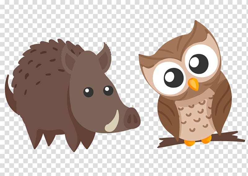 Owl Cartoon , Owl head tilt cute animal wild boar transparent background PNG clipart
