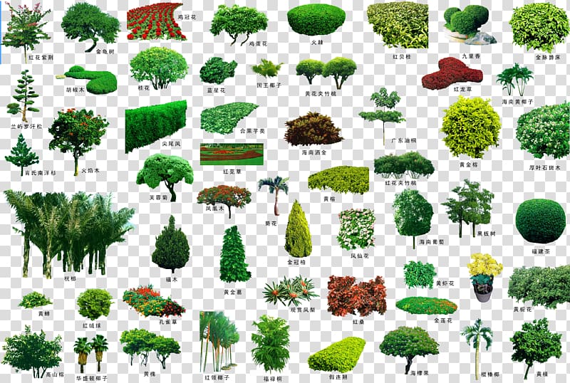 green leaf plant collection, Tree Garden Landscape Plant Shrub, Plant trees and flower beds transparent background PNG clipart