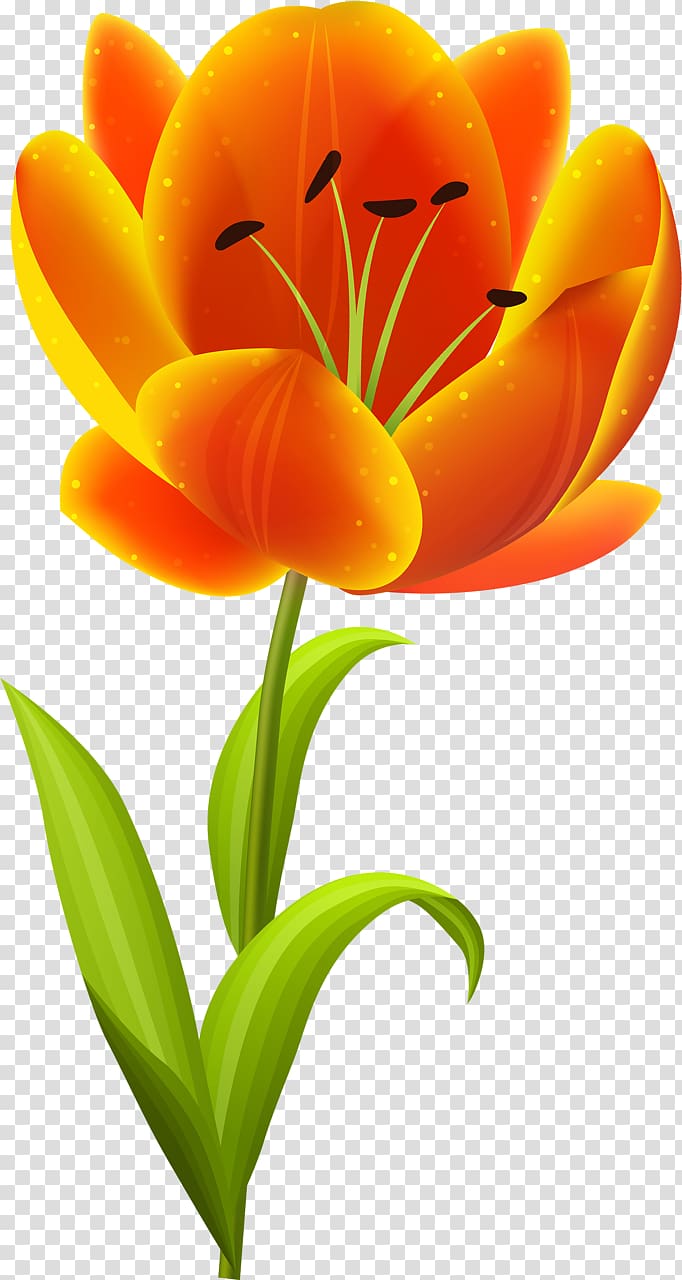 Flower Tulip , tulip transparent background PNG clipart