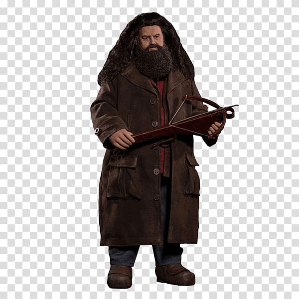 Rubeus Hagrid Harry Potter and the Philosopher\'s Stone Hermione Granger Ron Weasley, Harry Potter transparent background PNG clipart