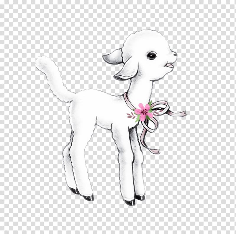 Puppy Sheep Drawing , lamb transparent background PNG clipart