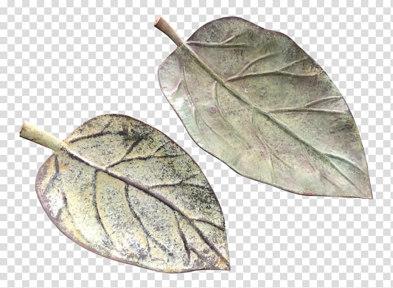 Leaf Plant, banana leaf transparent background PNG clipart