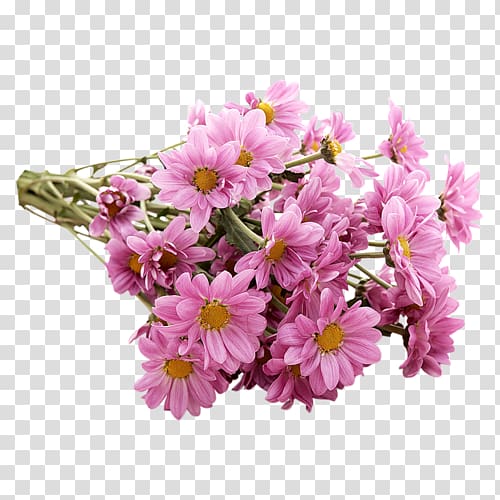 Chrysanthemum Flower bouquet Raster graphics Transvaal daisy Digital , 阔腿裤 transparent background PNG clipart