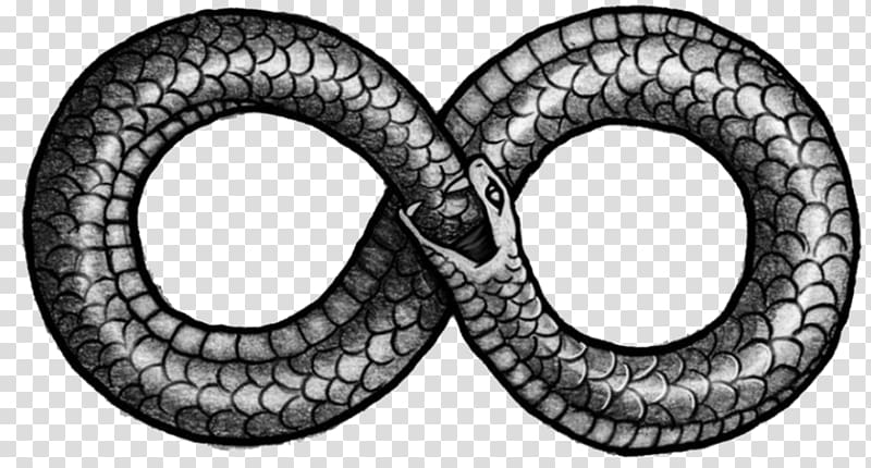 Snakes Ouroboros Infinity symbol Tattoo Serpent, snake logo transparent background PNG clipart