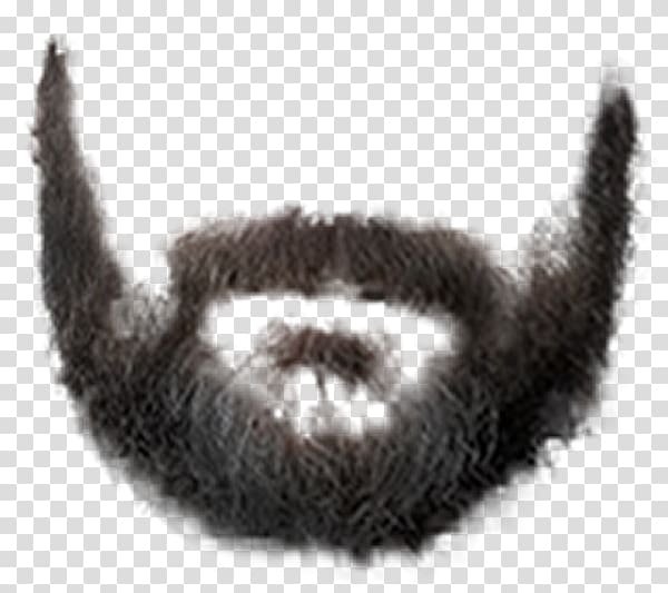 black beard, Beard , beard and moustache transparent background PNG clipart