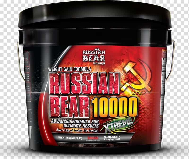 Dietary supplement Bodybuilding supplement Gainer Russian Bear Nutrition, nutrition transparent background PNG clipart