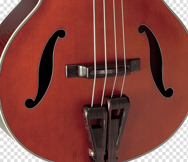 Bass violin Bass guitar Double bass Violone Acoustic-electric guitar, Bass Guitar transparent background PNG clipart