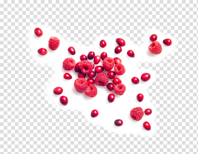 Cranberry Lingonberry Accessory fruit Food Blueberry, blueberry transparent background PNG clipart