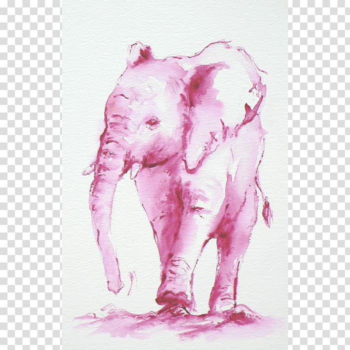 Indian elephant African elephant Watercolor painting Drawing Pink M, India transparent background PNG clipart
