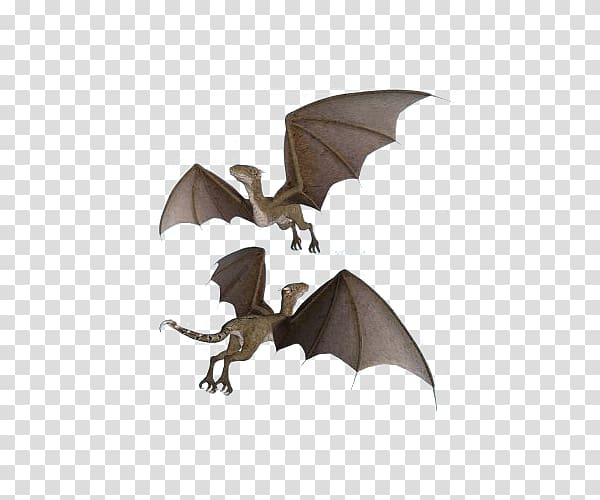 Flight Westland Wyvern u98dfu8089u6050u9f8d Wing, Flying dinosaurs transparent background PNG clipart