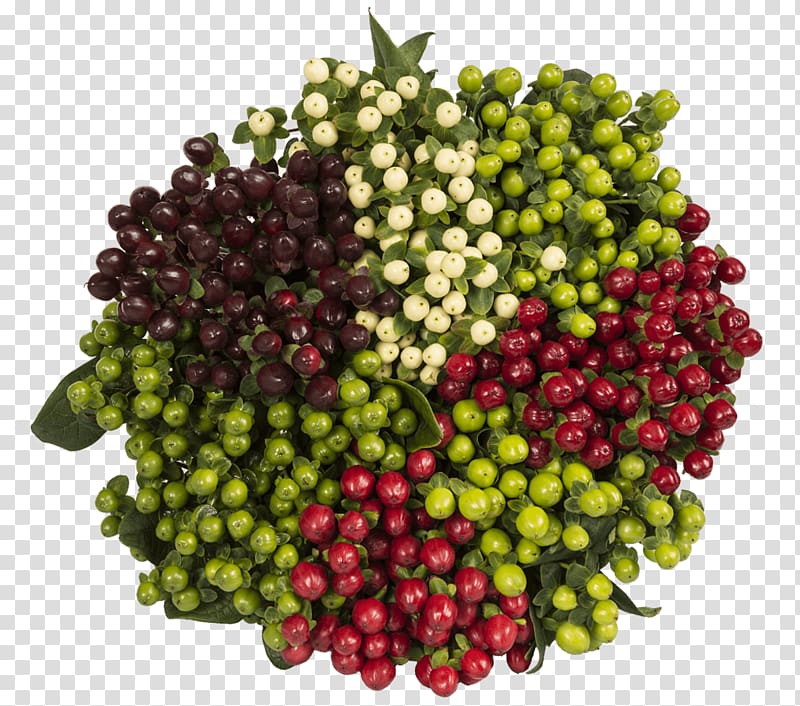 Cranberry Vegetarian cuisine Natural foods Vegetable, hypericum berries transparent background PNG clipart