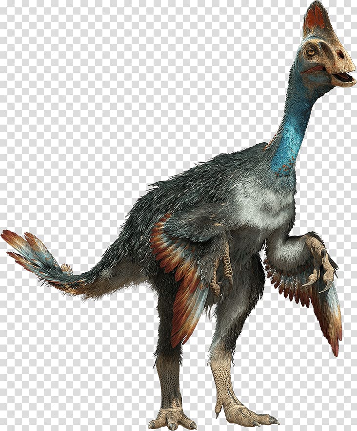 Velociraptor Chirostenotes Baryonyx Gorgosaurus Nomingia, dinosaur transparent background PNG clipart