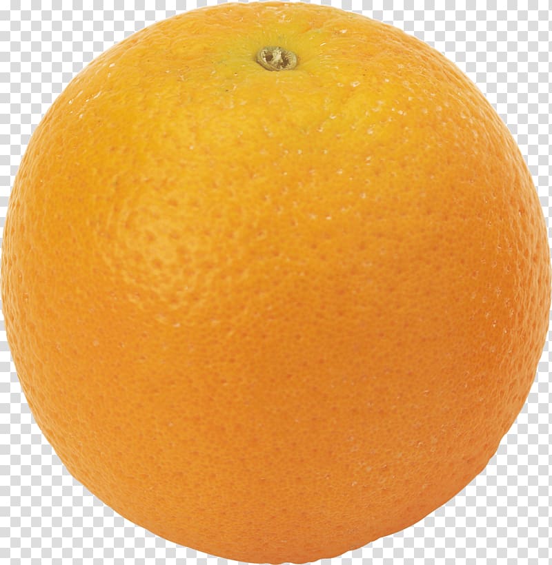 Tangerine Clementine Blood orange Tangelo Grapefruit, Orange transparent background PNG clipart