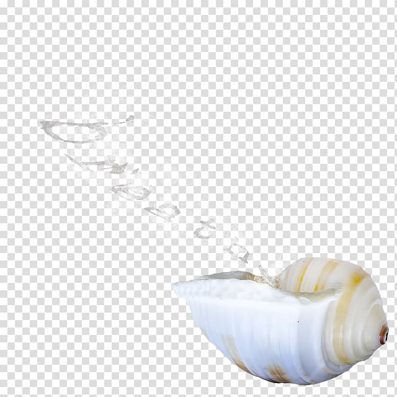 Seashell Shellfish, seashell transparent background PNG clipart