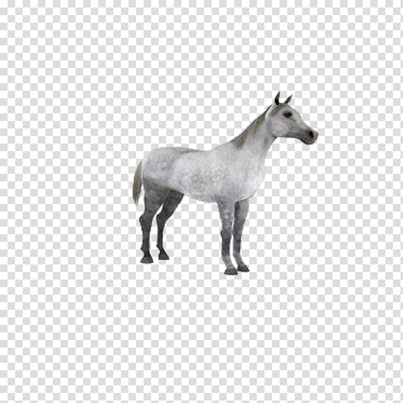 Horse Autodesk 3ds Max 3D modeling 3D computer graphics Texture mapping, Whitehorse transparent background PNG clipart