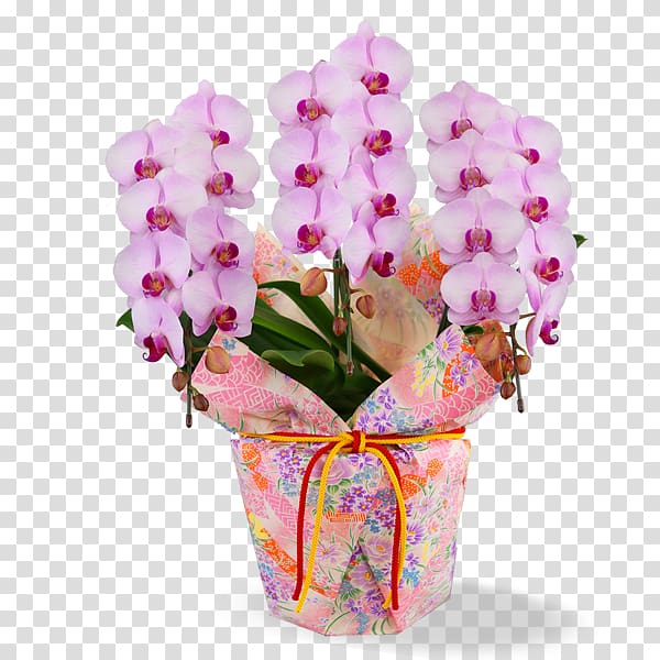 Phalaenopsis aphrodite Cut flowers Floral design Flower bouquet, flower transparent background PNG clipart